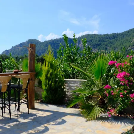 Vilă Dionyssos Dalyan
